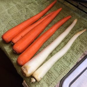 Paleo Carrot Souffle_prep